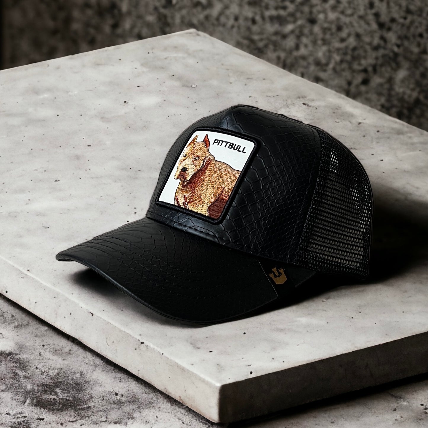 Gorra Especial - Pittbull